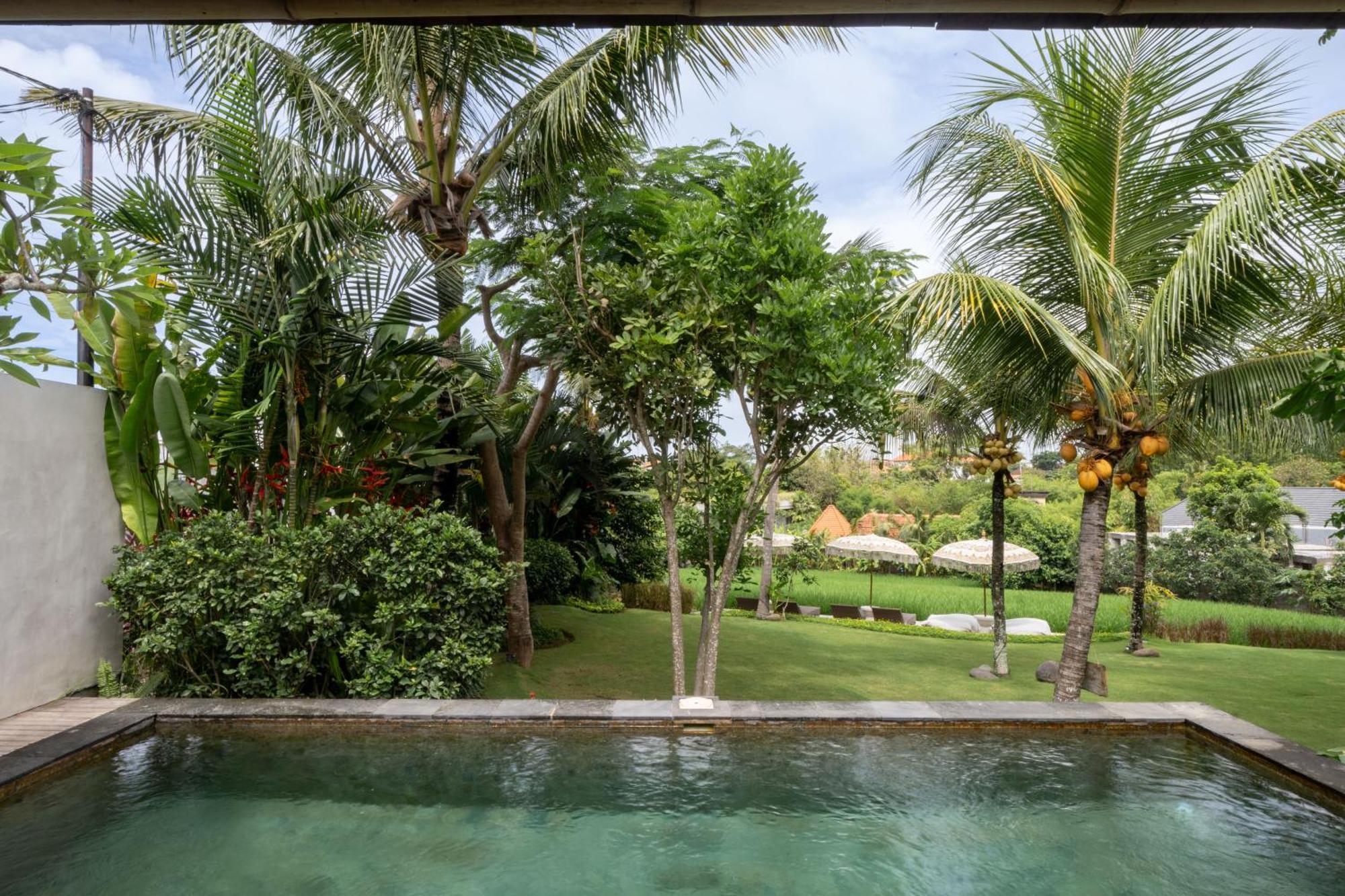 Premadhan Cottage Canggu Esterno foto